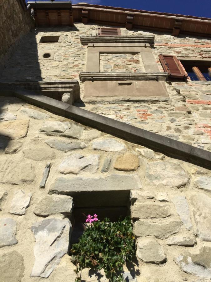 Castello Di Urbech Leilighet Pratovecchio Eksteriør bilde