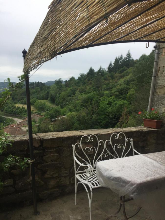 Castello Di Urbech Leilighet Pratovecchio Eksteriør bilde