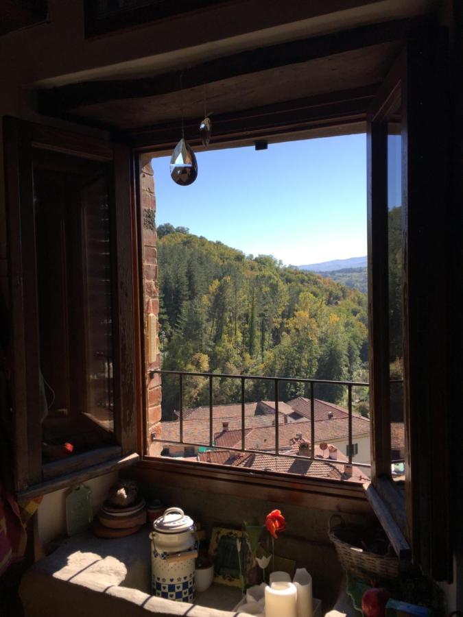 Castello Di Urbech Leilighet Pratovecchio Eksteriør bilde