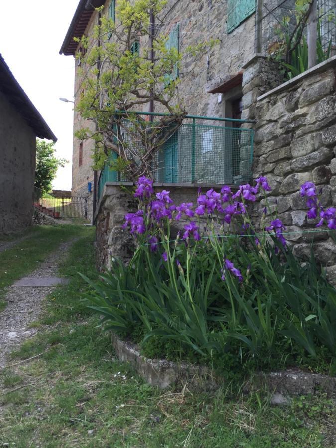 Castello Di Urbech Leilighet Pratovecchio Eksteriør bilde