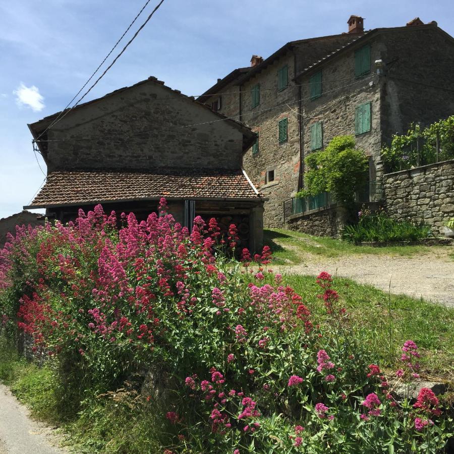 Castello Di Urbech Leilighet Pratovecchio Eksteriør bilde
