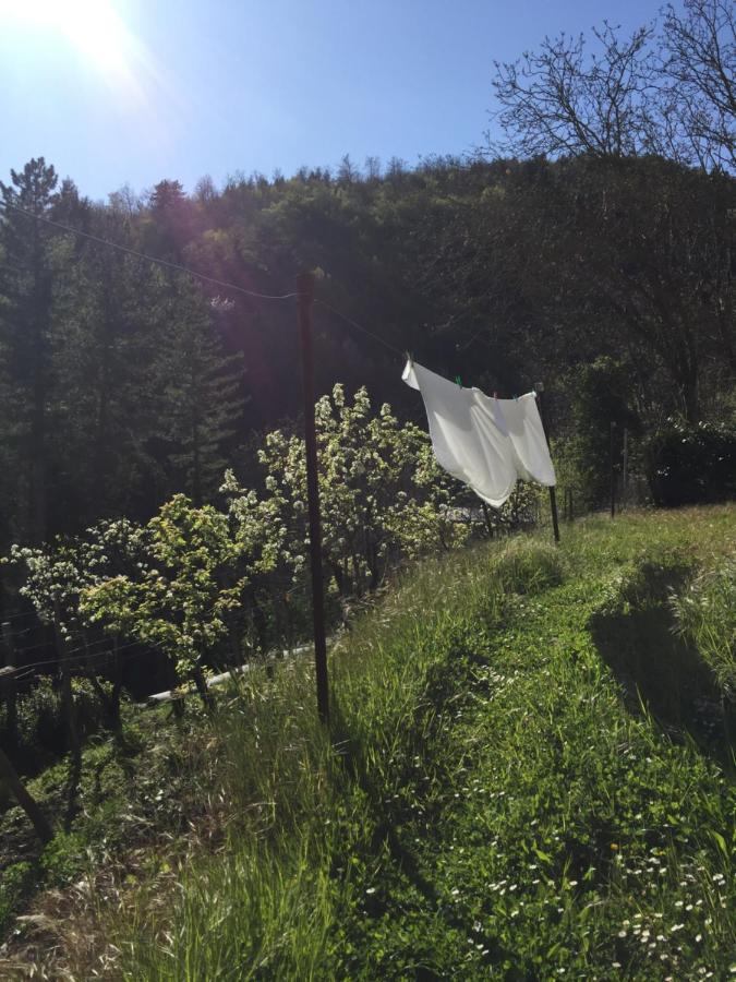 Castello Di Urbech Leilighet Pratovecchio Eksteriør bilde