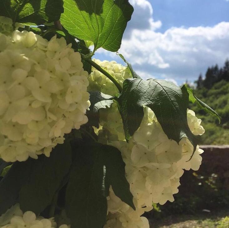 Castello Di Urbech Leilighet Pratovecchio Eksteriør bilde