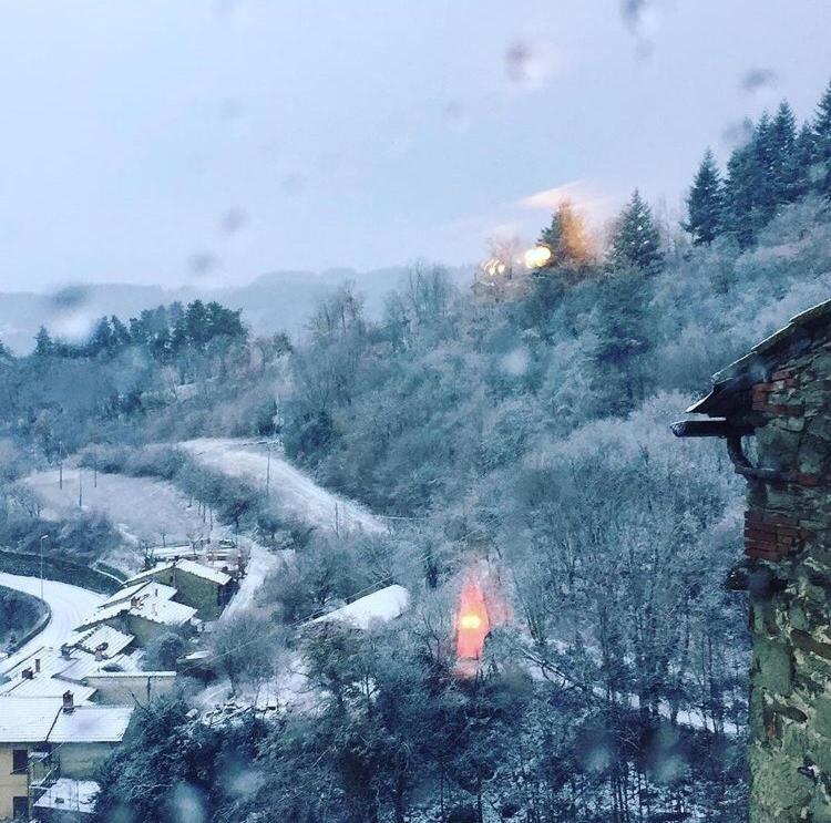 Castello Di Urbech Leilighet Pratovecchio Eksteriør bilde