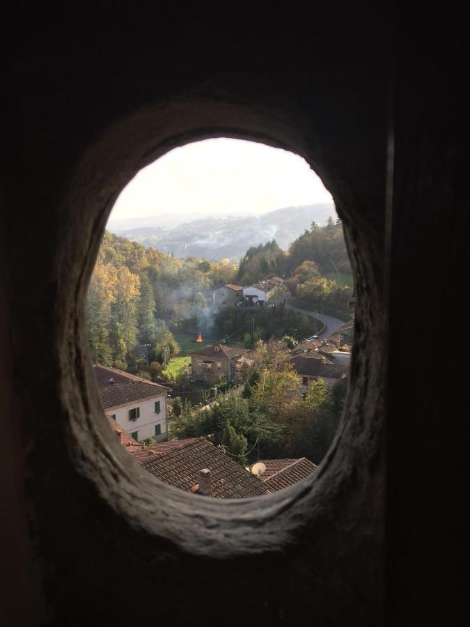 Castello Di Urbech Leilighet Pratovecchio Eksteriør bilde