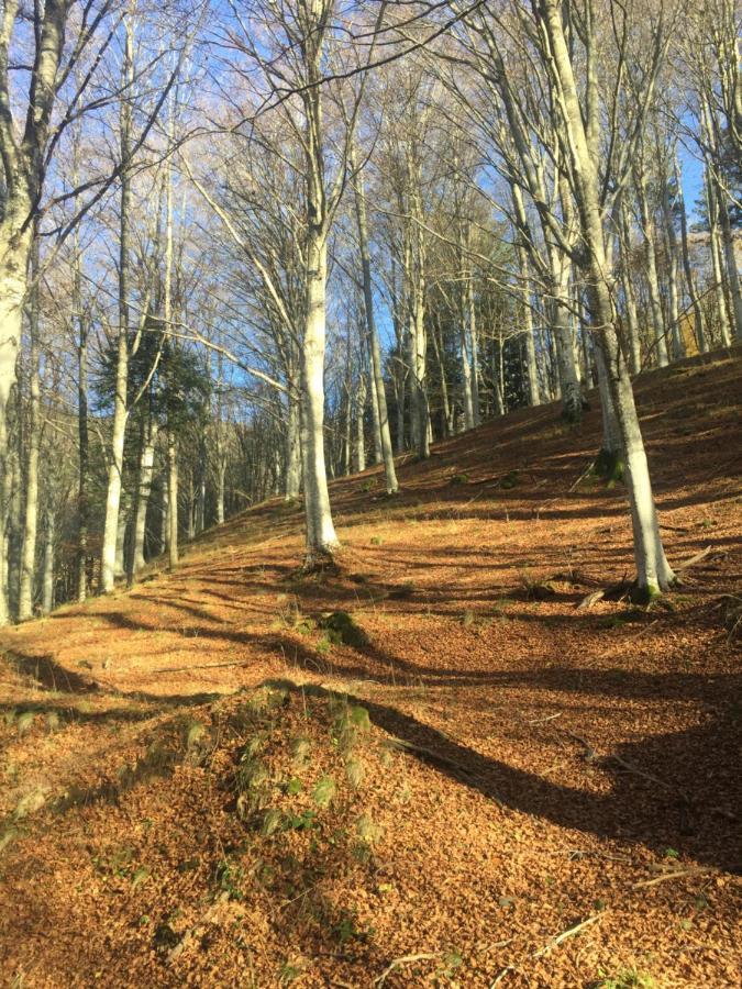 Castello Di Urbech Leilighet Pratovecchio Eksteriør bilde